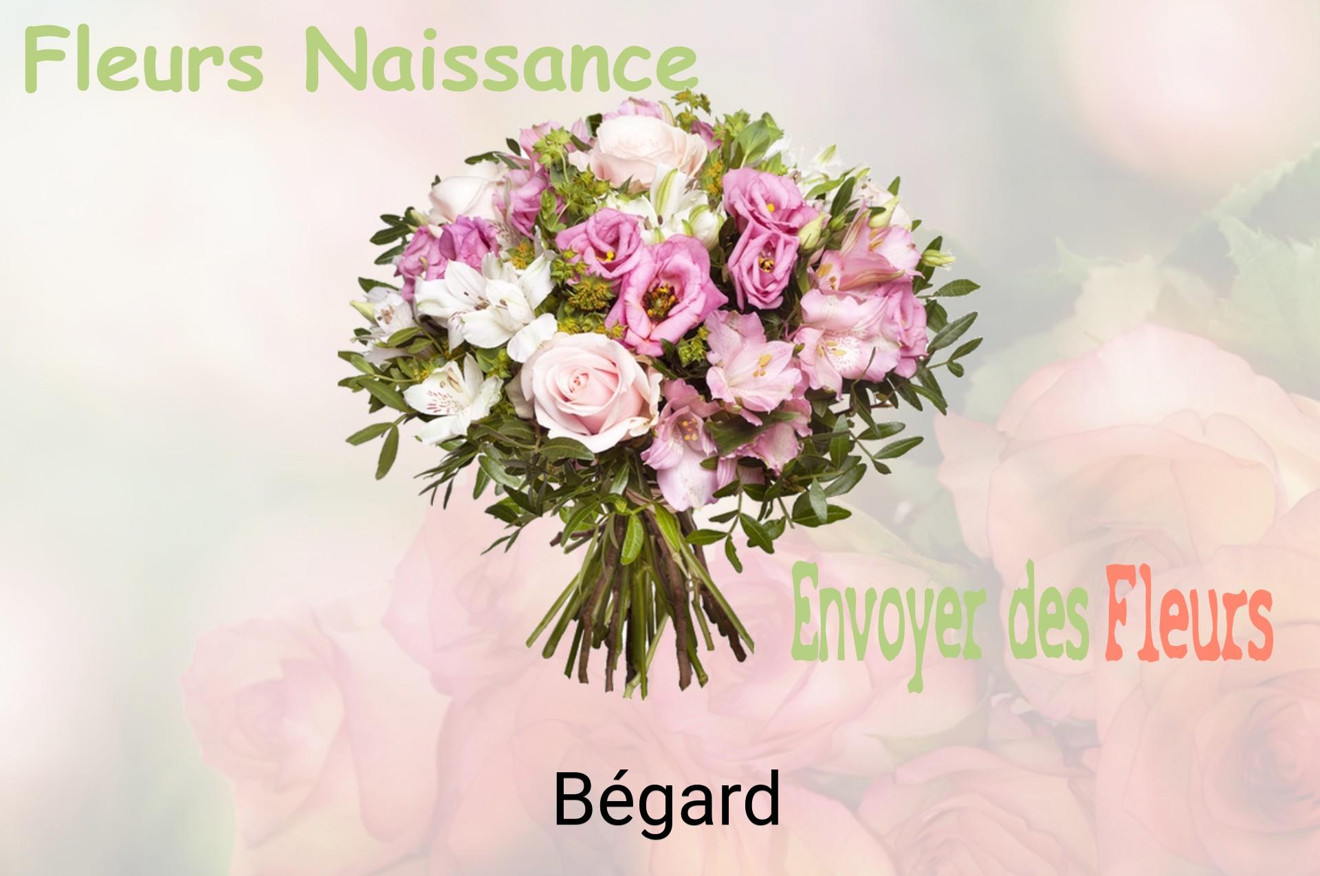 Bouquet de fleurs de naissance livré à Bégard